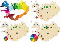 iceland genetic distribution