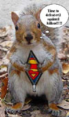 Supersquirrel